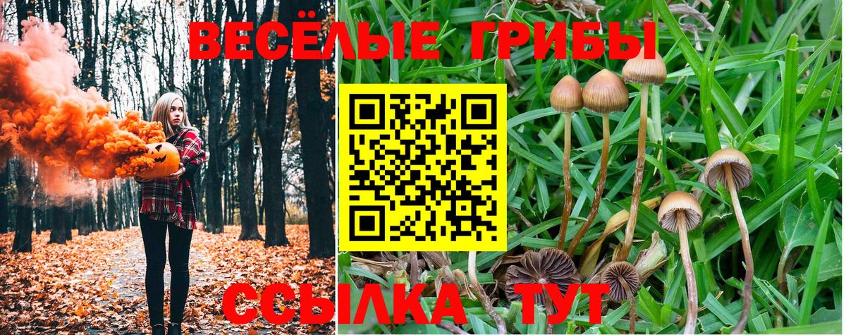 Галлюциногенные грибы Psilocybine cubensis  Галлюциногенные грибы ЛСД  Саранск  Вход с VPN 