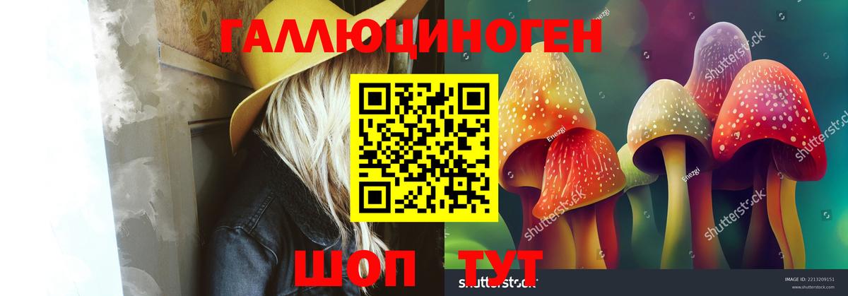 Галлюциногенные грибы Magic Shrooms Саранск